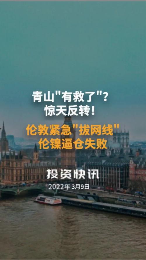 青山最新爆料新闻报道,揭秘事件背后惊人真相