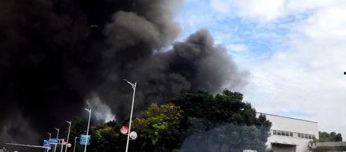 东湖爆料冲突事件最新,真相与争议交织的现场直击